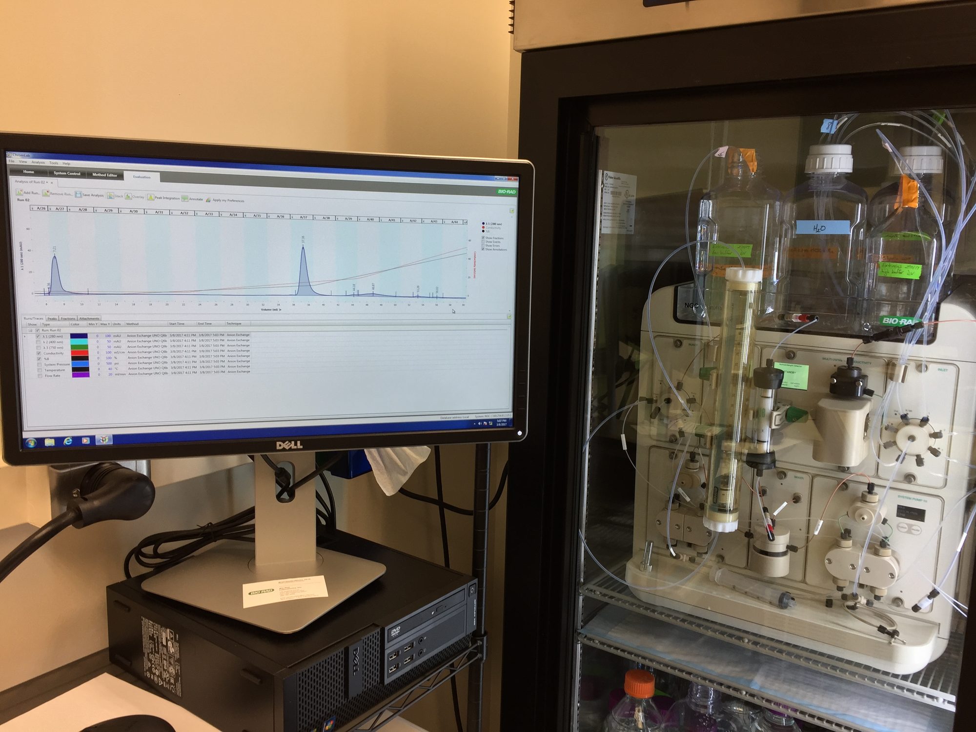 Protein chromatography setup in the Vinyard Lab